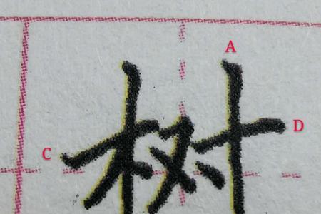 一个木三撇一个女念什么