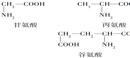 丙氨酸溶解度