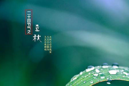 立秋下雨上班文案