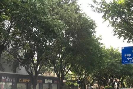 福州八一七路禁摩吗