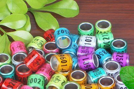 2023年信鸽足环什么时候发行