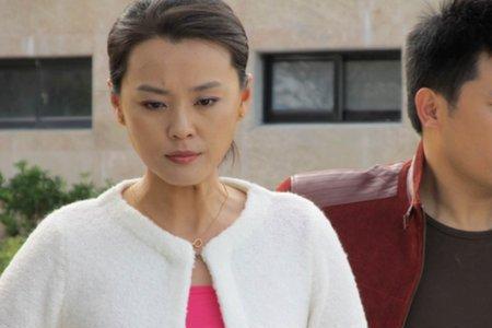 漂亮主妇田婉怀孕第几集