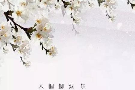 物是人非诗句苏轼