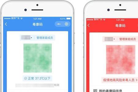 越南护照怎么登录粤康码