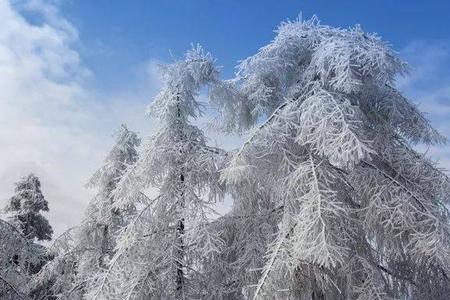 白雪皑皑类似词语