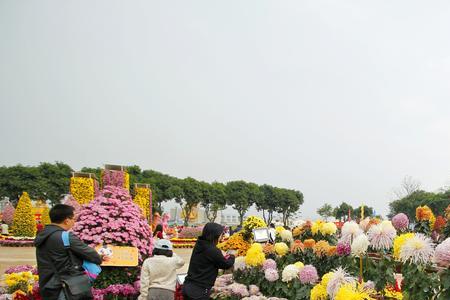 2022小榄菊花展什么时候开始