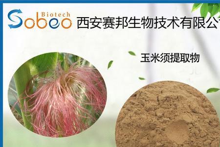 玉米须烘干的温度