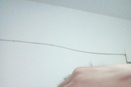 头发又短又硬像什么