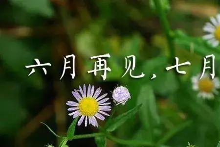 七月初一发朋友圈的话