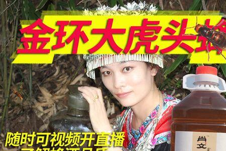泡金环虎头蜂用多少度白酒