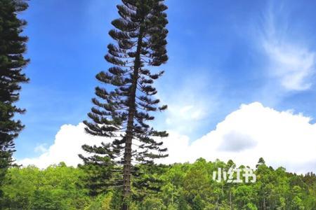 蝶恋谷星期一营业吗