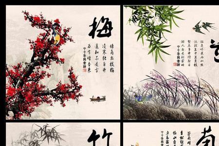 梅兰开花吗