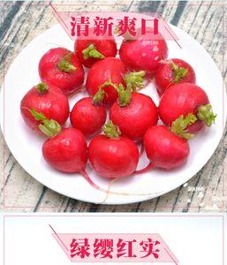 红色圆萝卜怎么保存