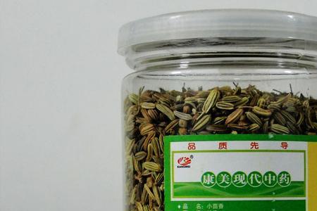茴香苗冷冻保存方法