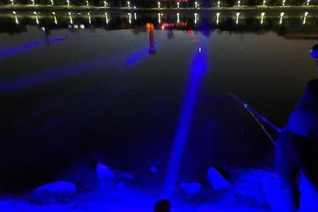 夜钓蓝光灯招蛇吗