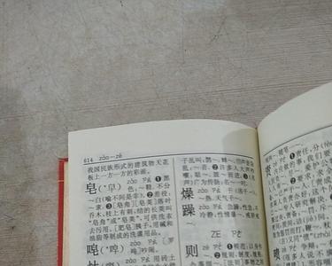 炼在字典里多少页