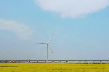 上海长兴岛定居真实感受
