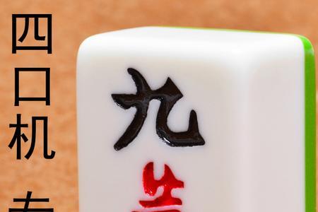 单人麻将什么意思