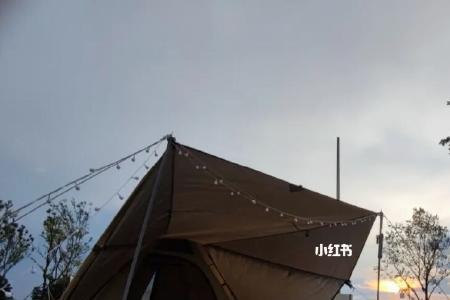 露营基地是属于什么类目