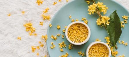 白桂花好还是黄桂花泡酒好