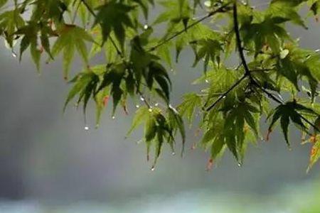 淅淅嗒嗒什么意思
