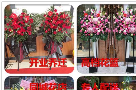 江都市的市花是什么花