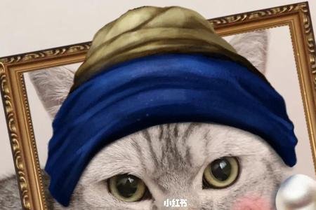 猫咪珍珠什么品种