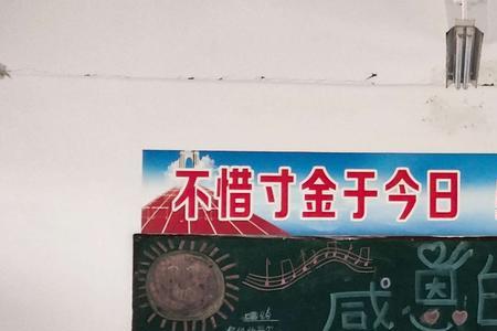 诠释感恩的真谛