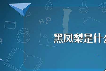 黑凤梨开头的粤语歌曲
