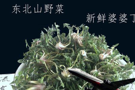 东北山菜怎么保鲜