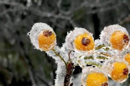 冬天的雨怎么形容