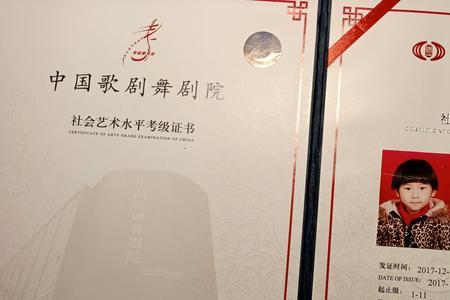 舞蹈考级评委点评评语
