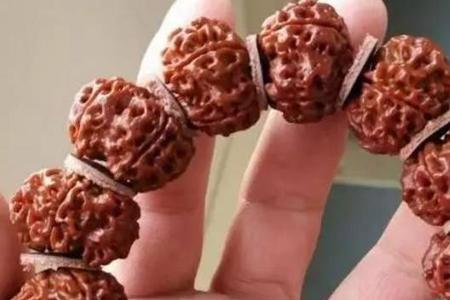 大金刚菩提药籽怎么区别