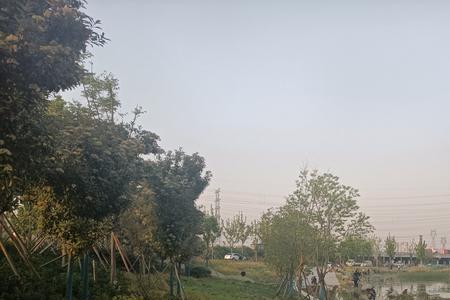 贾鲁河和东风渠交汇处能钓鱼吗