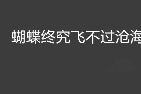 蝴蝶终究飞不过沧海什么意思