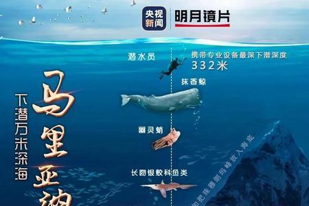 伊势湾海洋深度多少公里