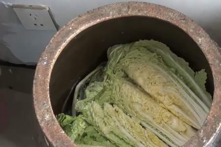 没长成的白菜怎么腌酸菜
