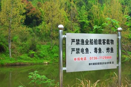 为什么东海要提前解除禁捕