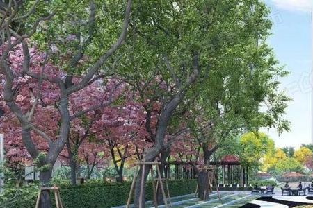 盘锦海棠谷三期什么时候交房