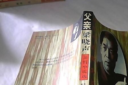 梁晓声的母亲原文