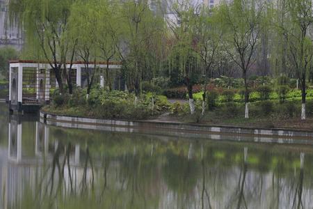 春雨绵绵润大地