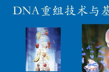基因工程包括了哪几种技术