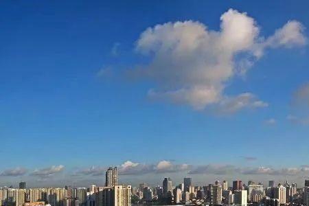 广州滨江属于哪个区