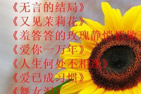 悄悄的爱你原唱