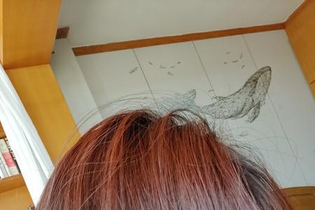 棕色染红色怎么一点红都没有