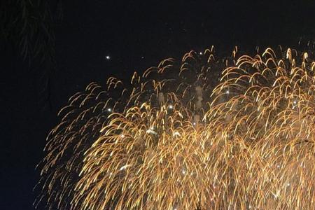烟花易逝是什么意思