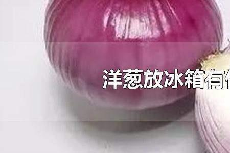 夏天洋葱需要放冰箱吗