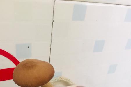 种蘑菇水大了怎么补救