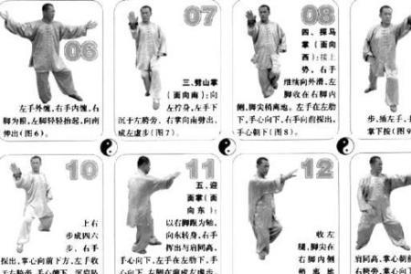 蛇拳的八个招式