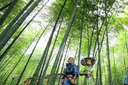 茶山竹海白天适合去玩吗